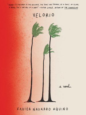 cover image of Velorio
